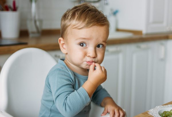 gentle mealtime tips, toddler mealtime strategies, stress-free toddler feeding